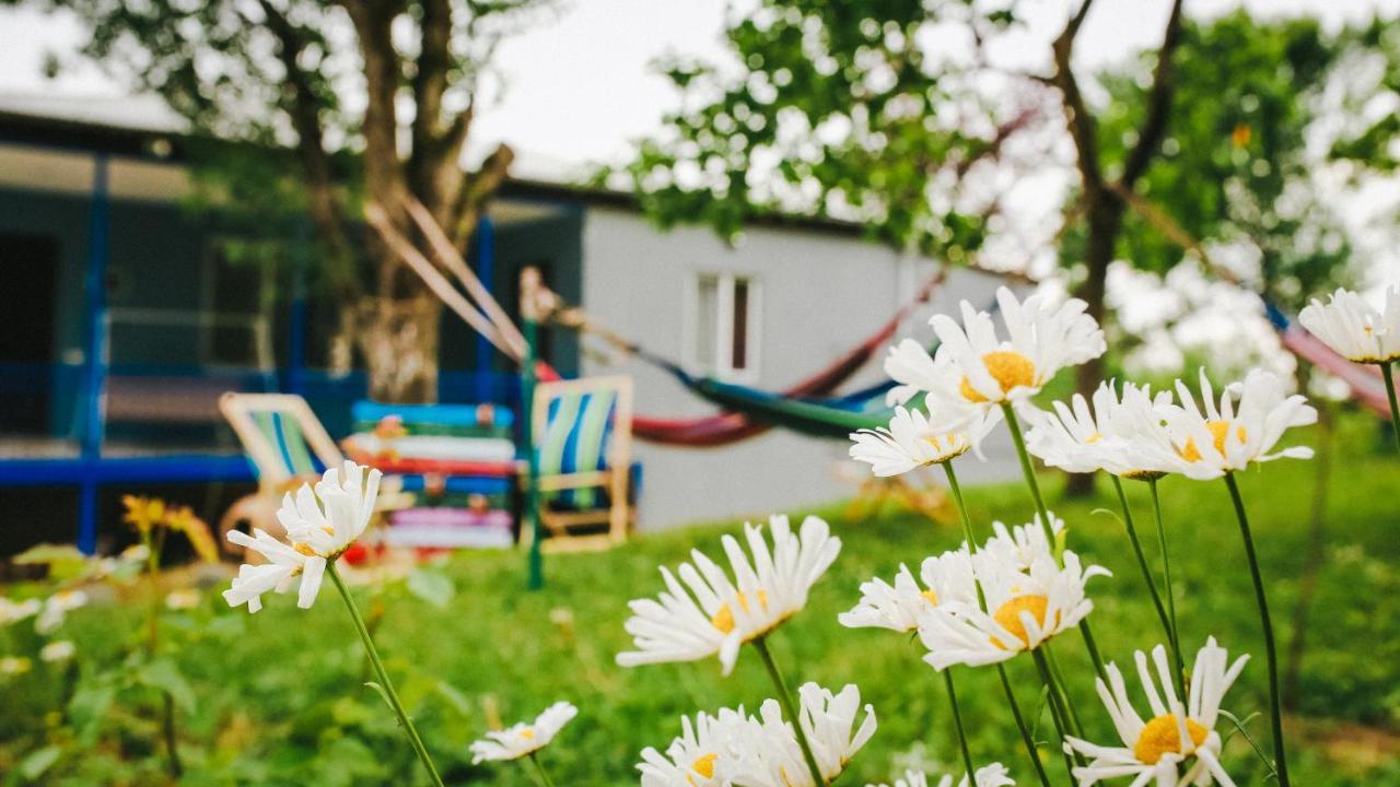 Bebo Babu Guest House Кутаїсі Екстер'єр фото